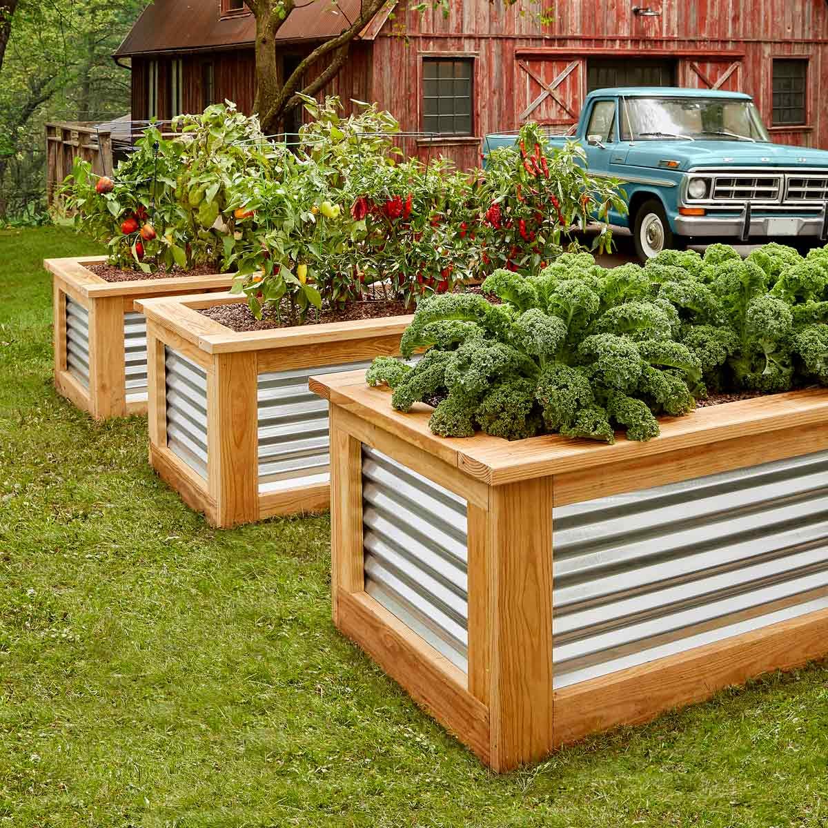 Building raised garden beds