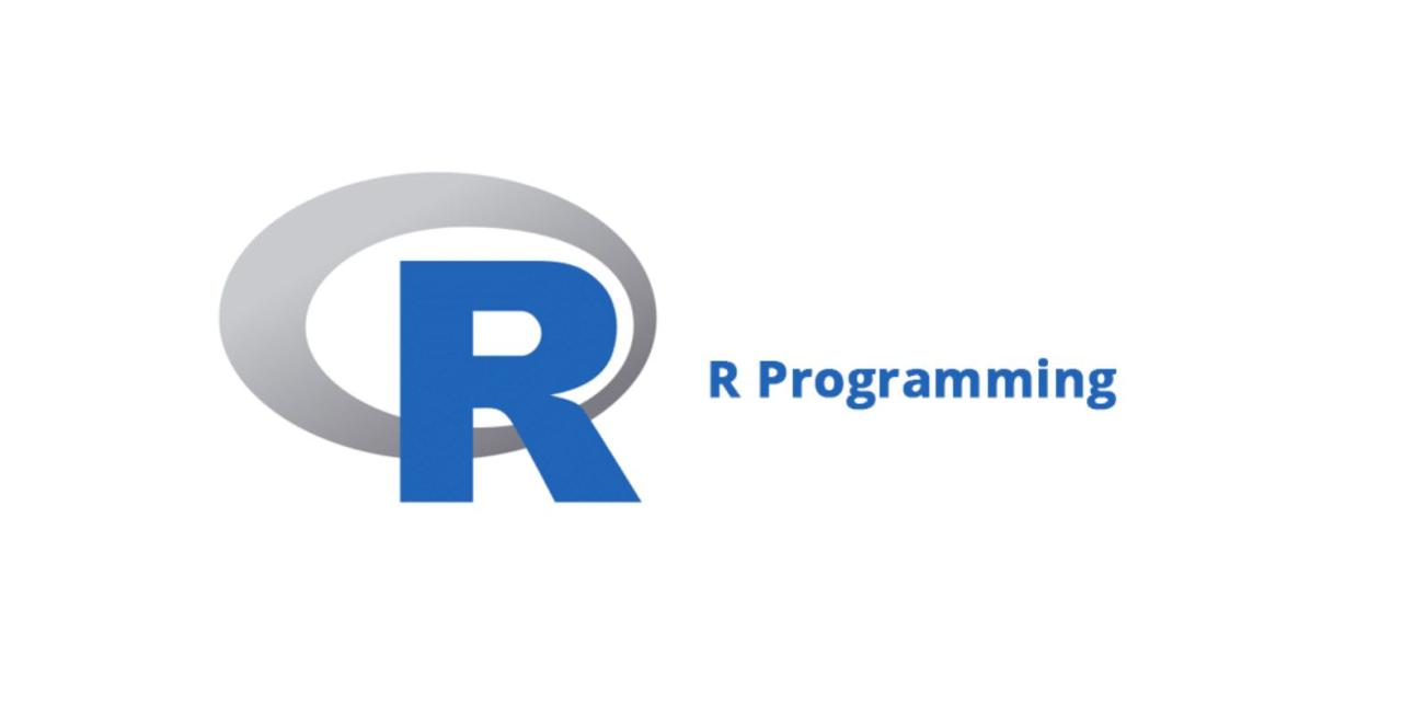 R software