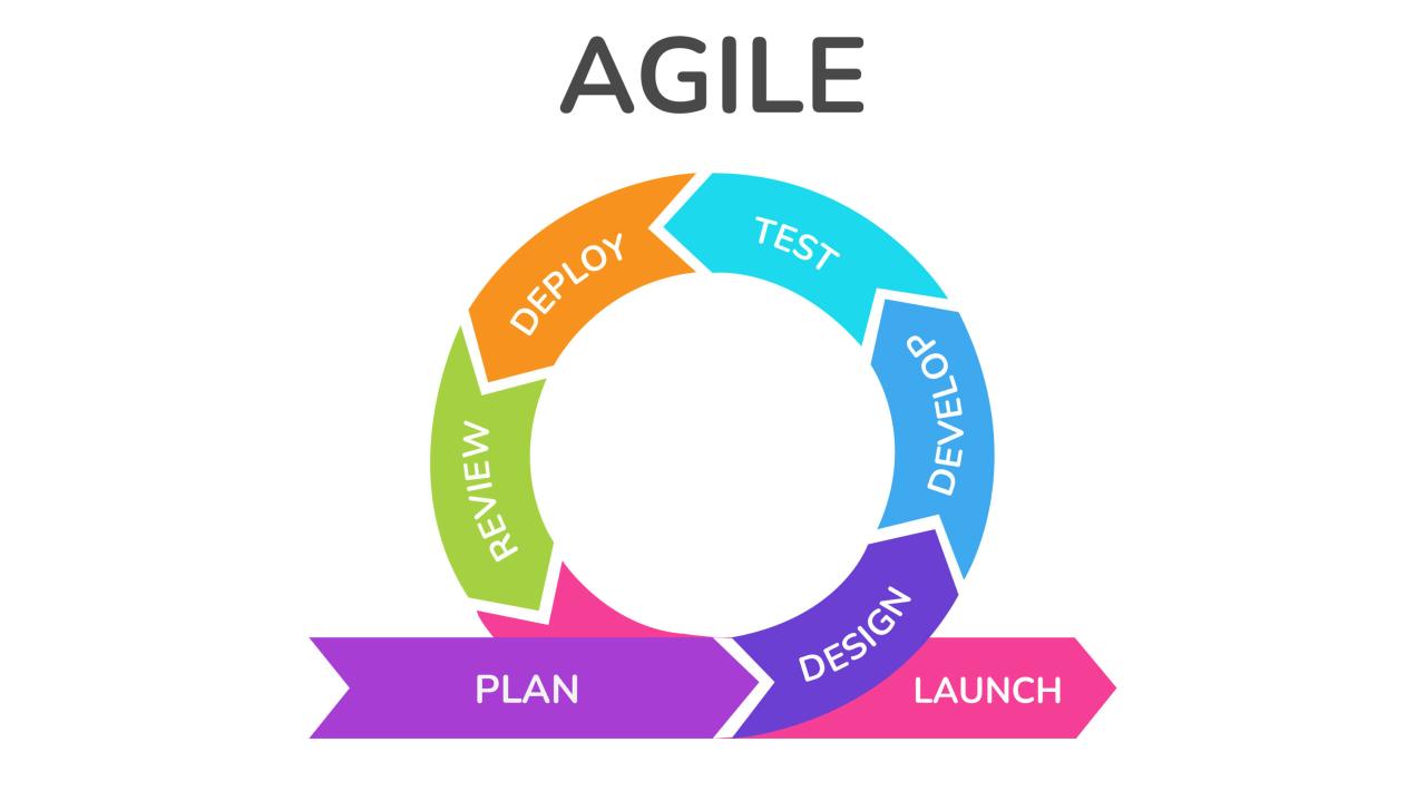 Agile process