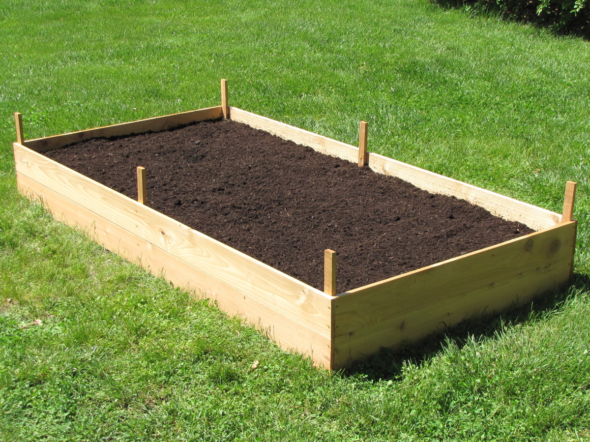 Building raised garden beds