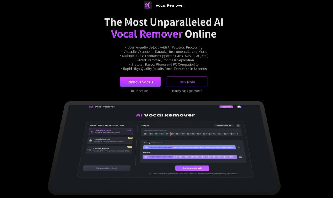 Vocal remover online