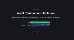 Vocal remover online