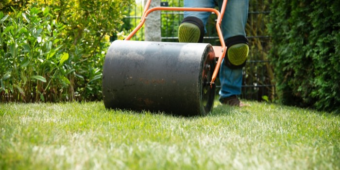 Diy yard roller