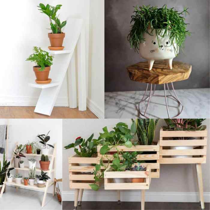 Diy plant stand indoor